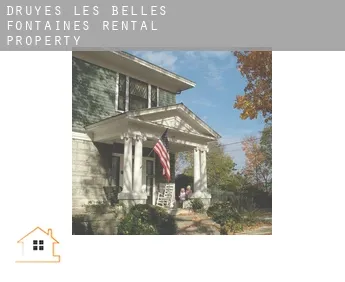 Druyes-les-Belles-Fontaines  rental property