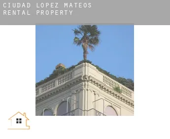 Ciudad López Mateos  rental property